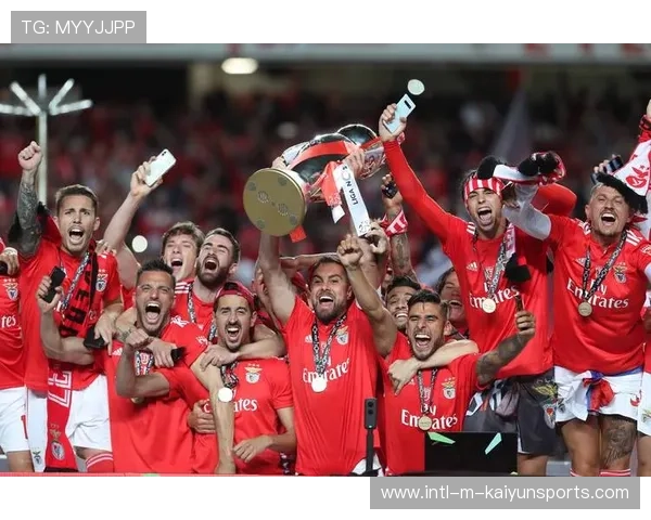 本菲卡若保持良性循环，未来影响力持续扩张